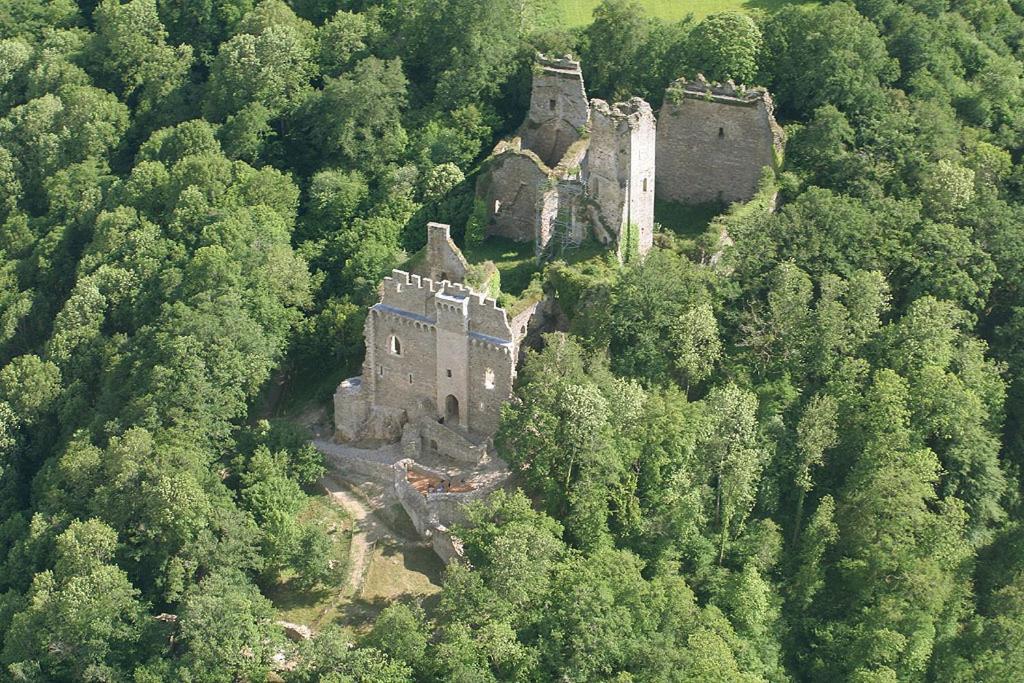 Solignac Domaine De La Dame De Lauriere Bed & Breakfast エクステリア 写真